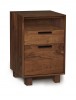 Linear Narrow File with Cubby in Walnut